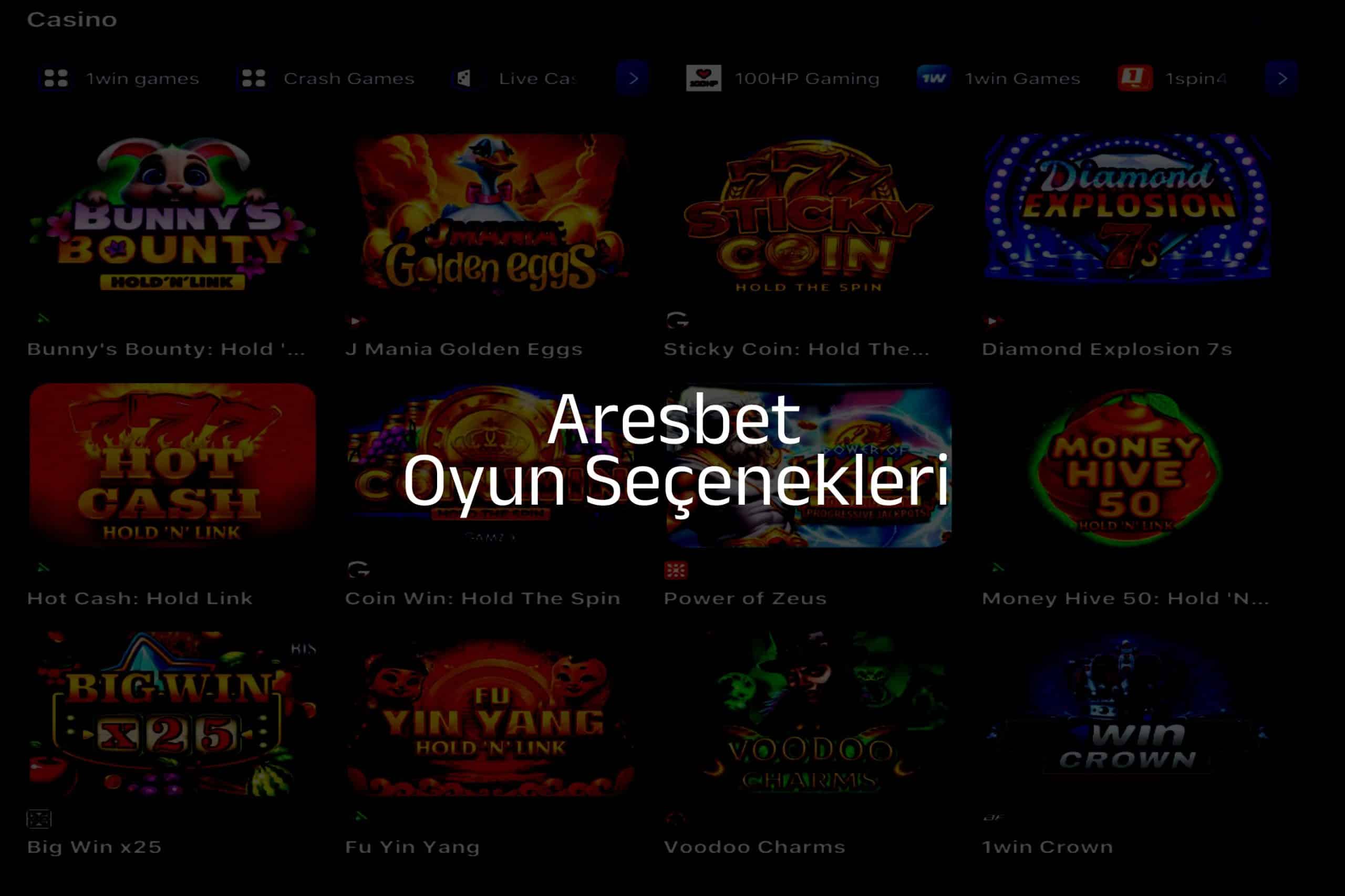 Oyun Seçenekleri