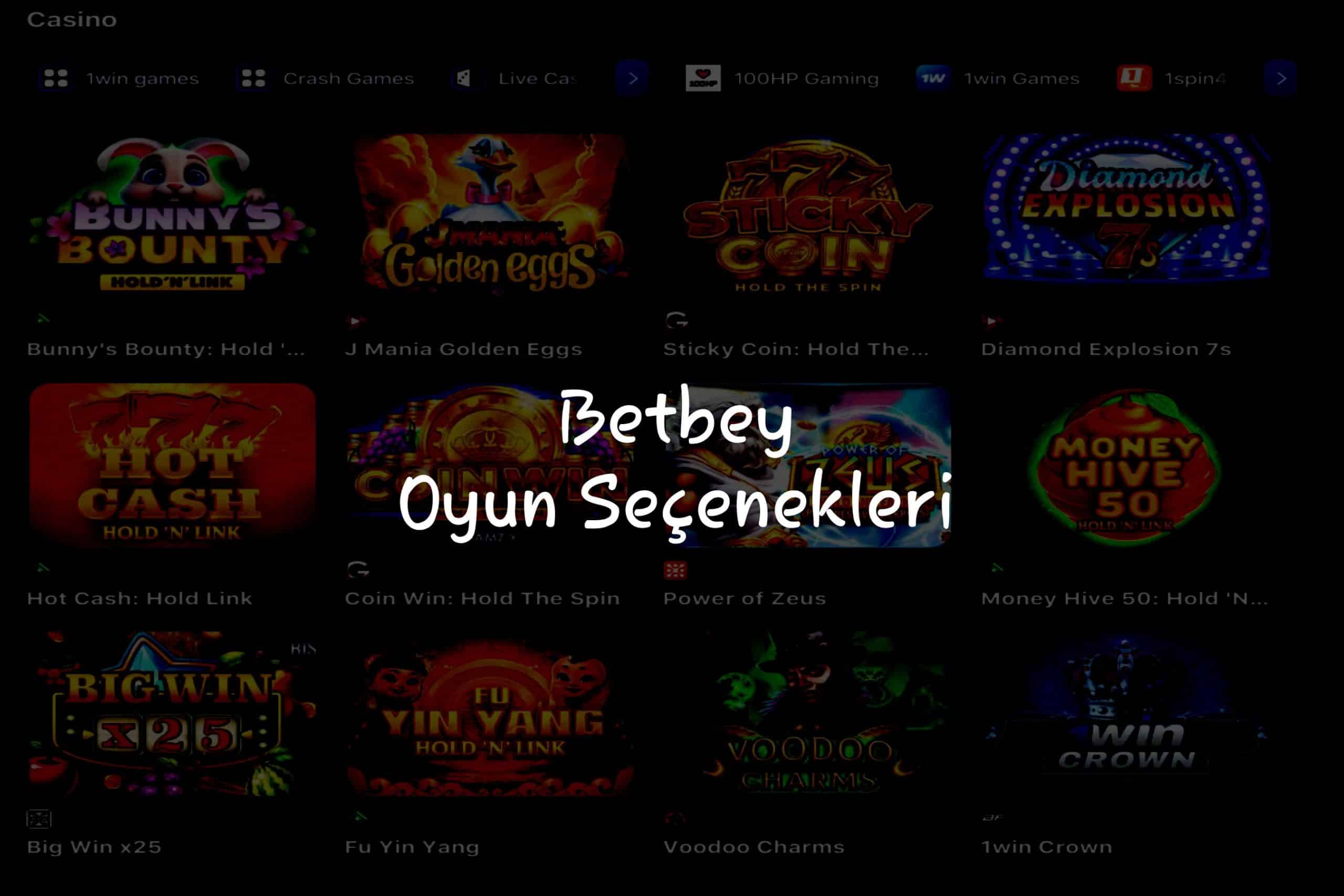 Oyun Seçenekleri