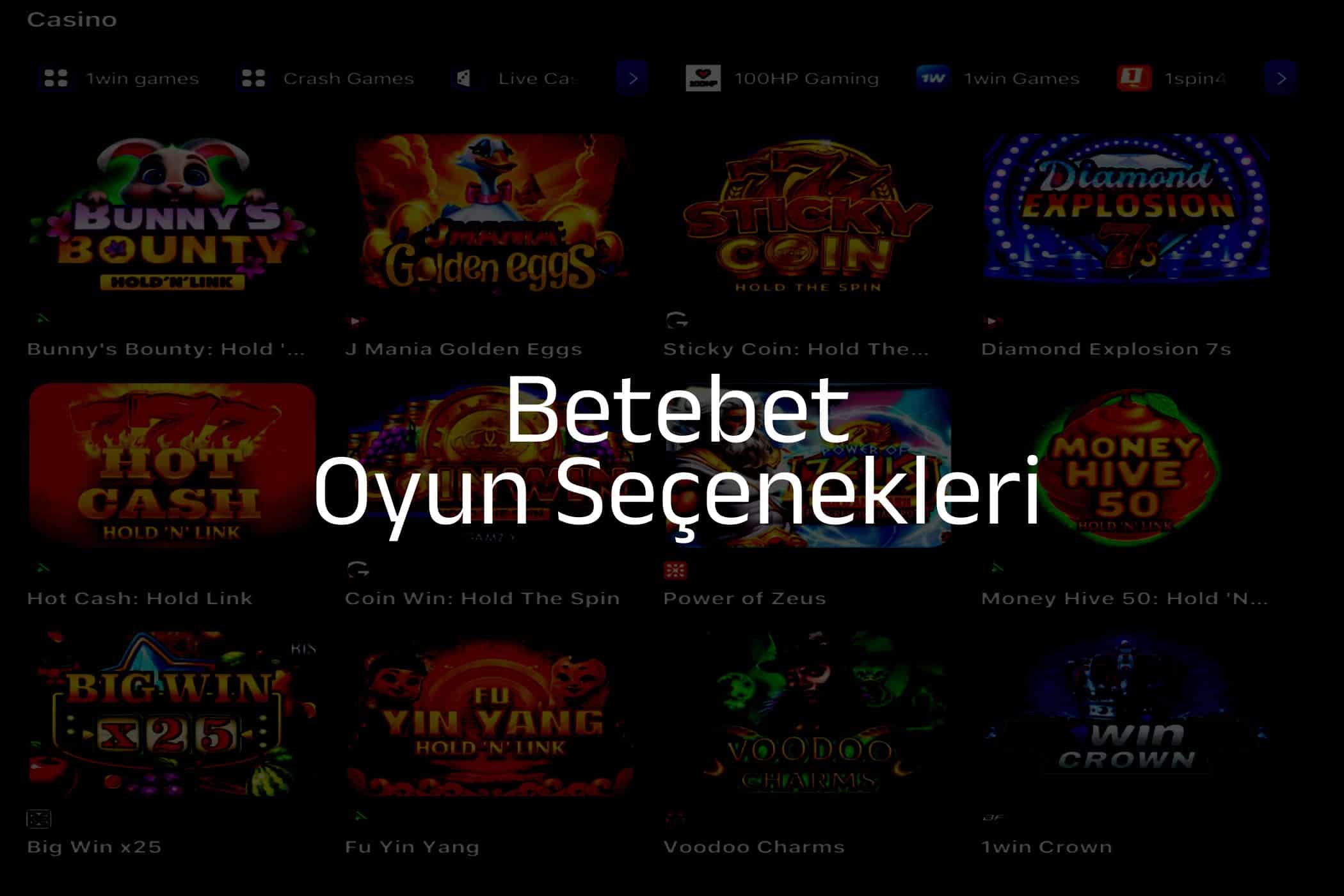 Oyun Seçenekleri
