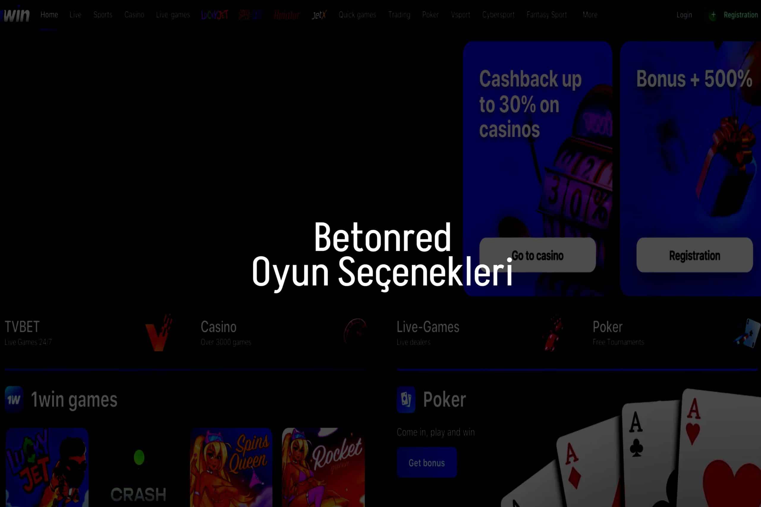 Oyun Seçenekleri