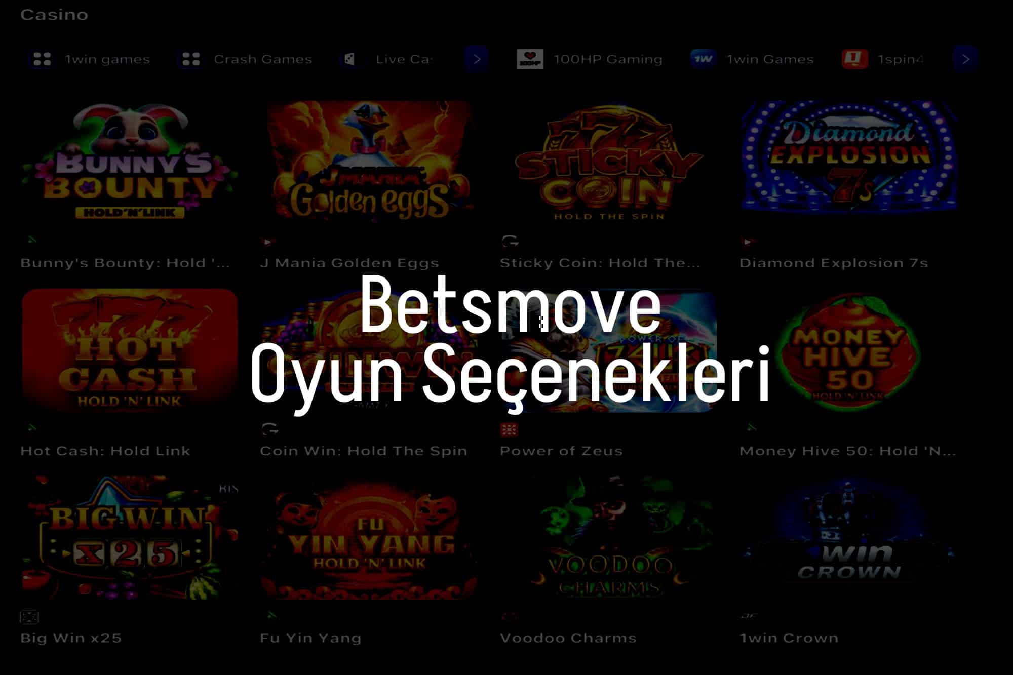 Oyun Seçenekleri