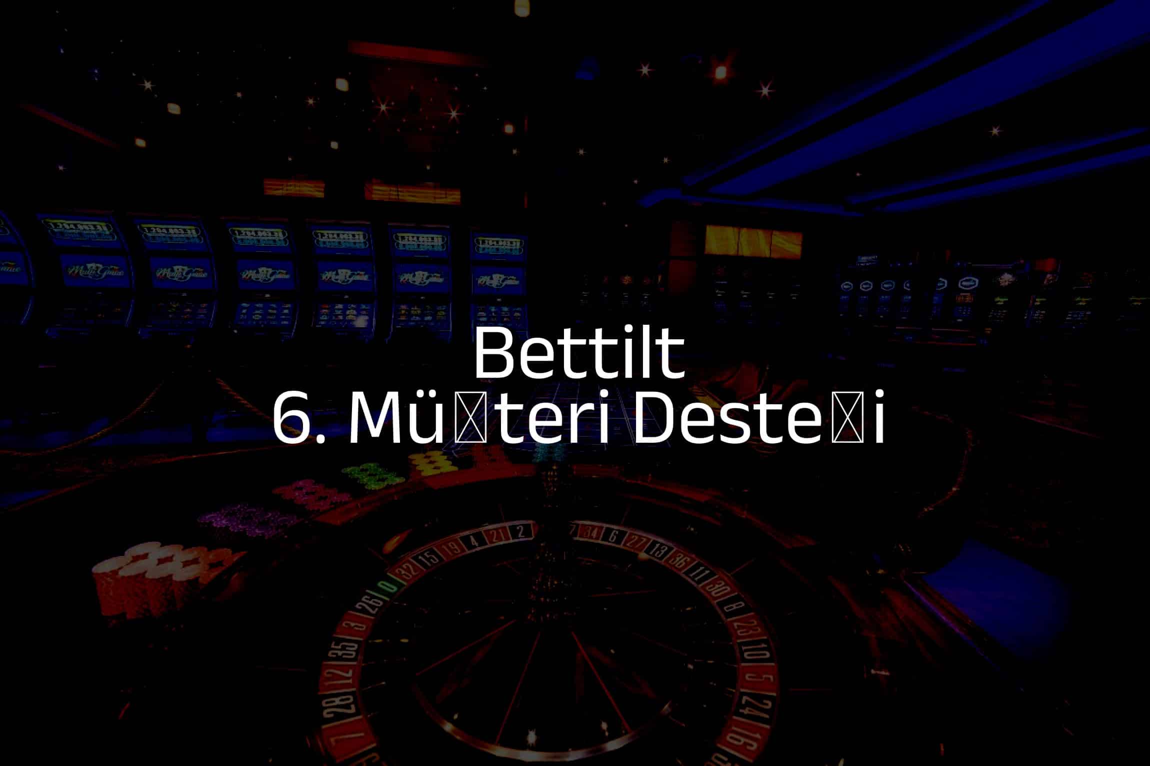6. Müşteri Desteği