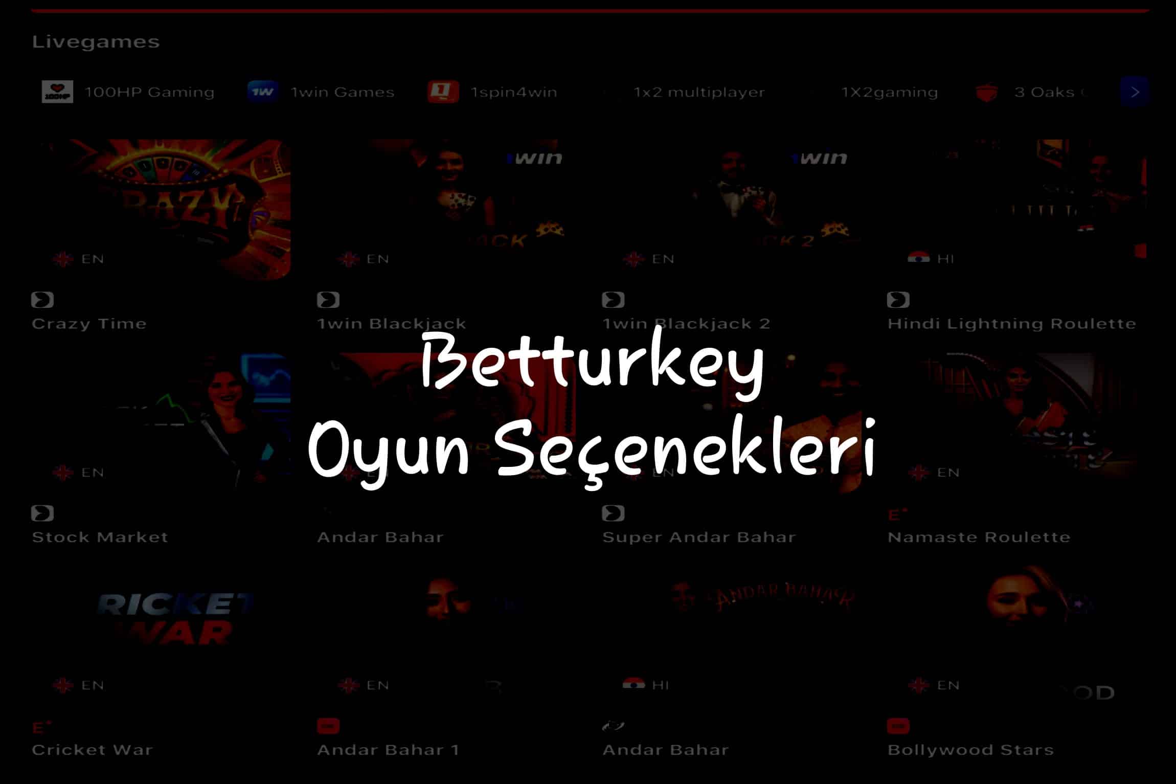 Oyun Seçenekleri