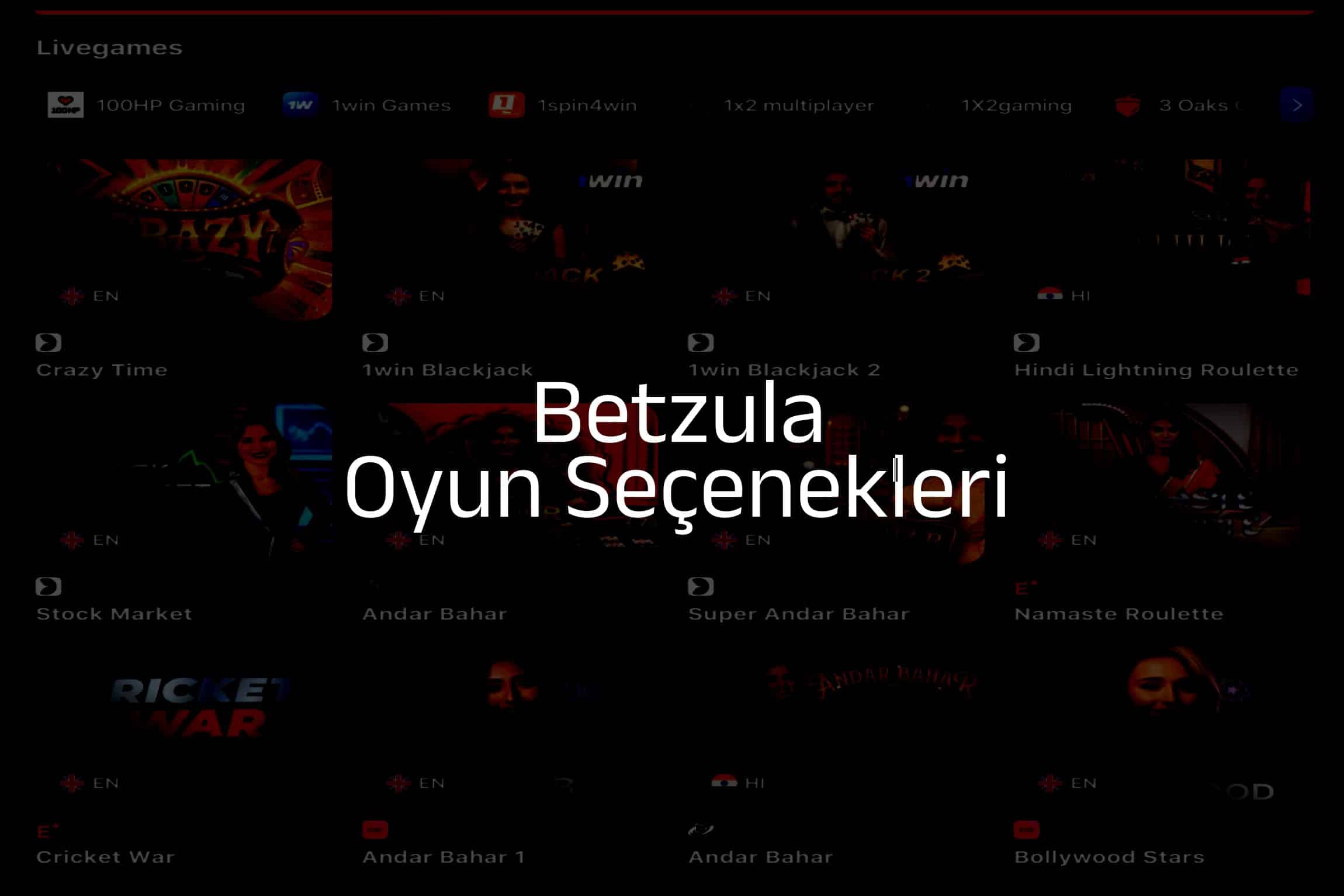 Oyun Seçenekleri