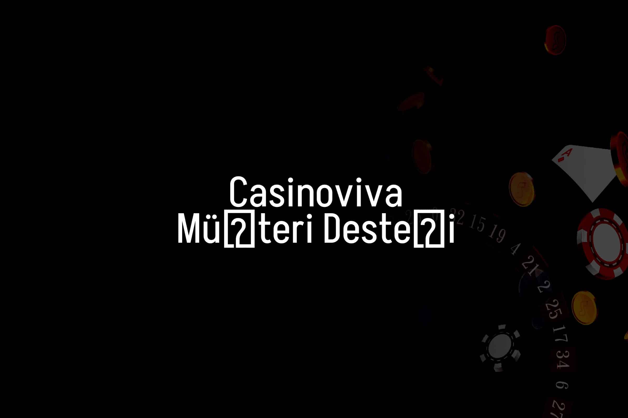 Müşteri Desteği