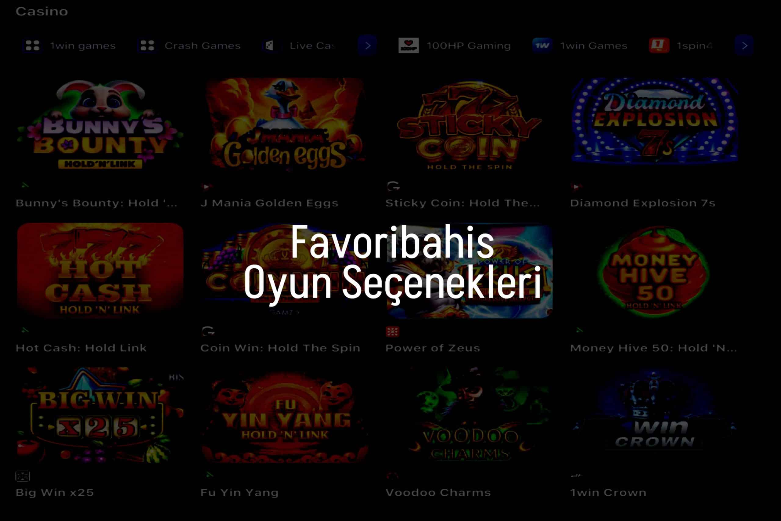 Oyun Seçenekleri