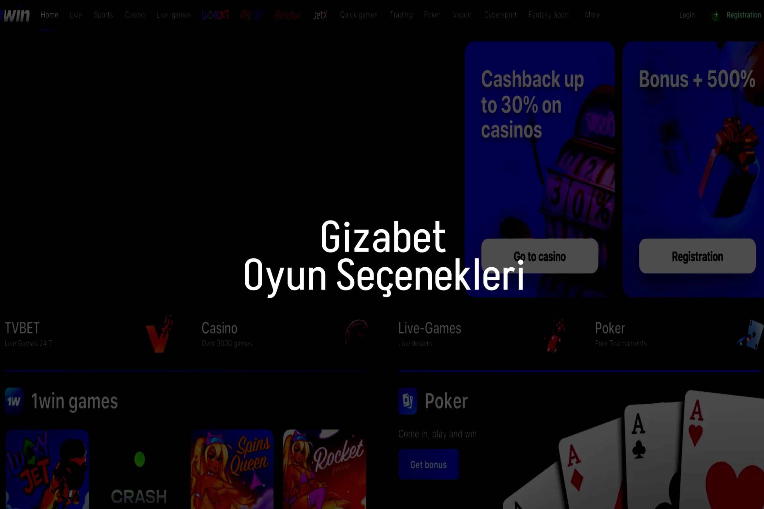 Oyun Seçenekleri