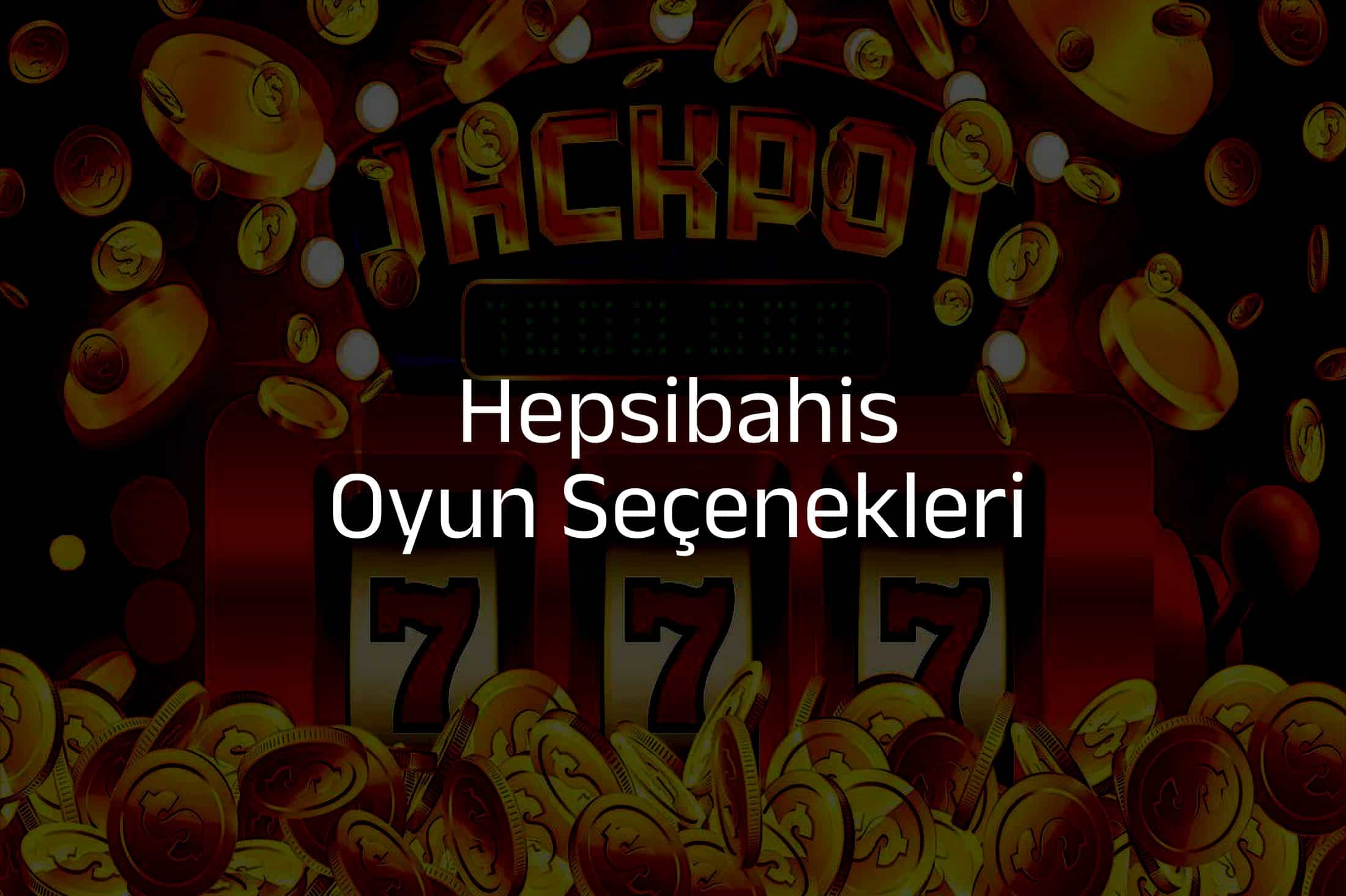 Oyun Seçenekleri