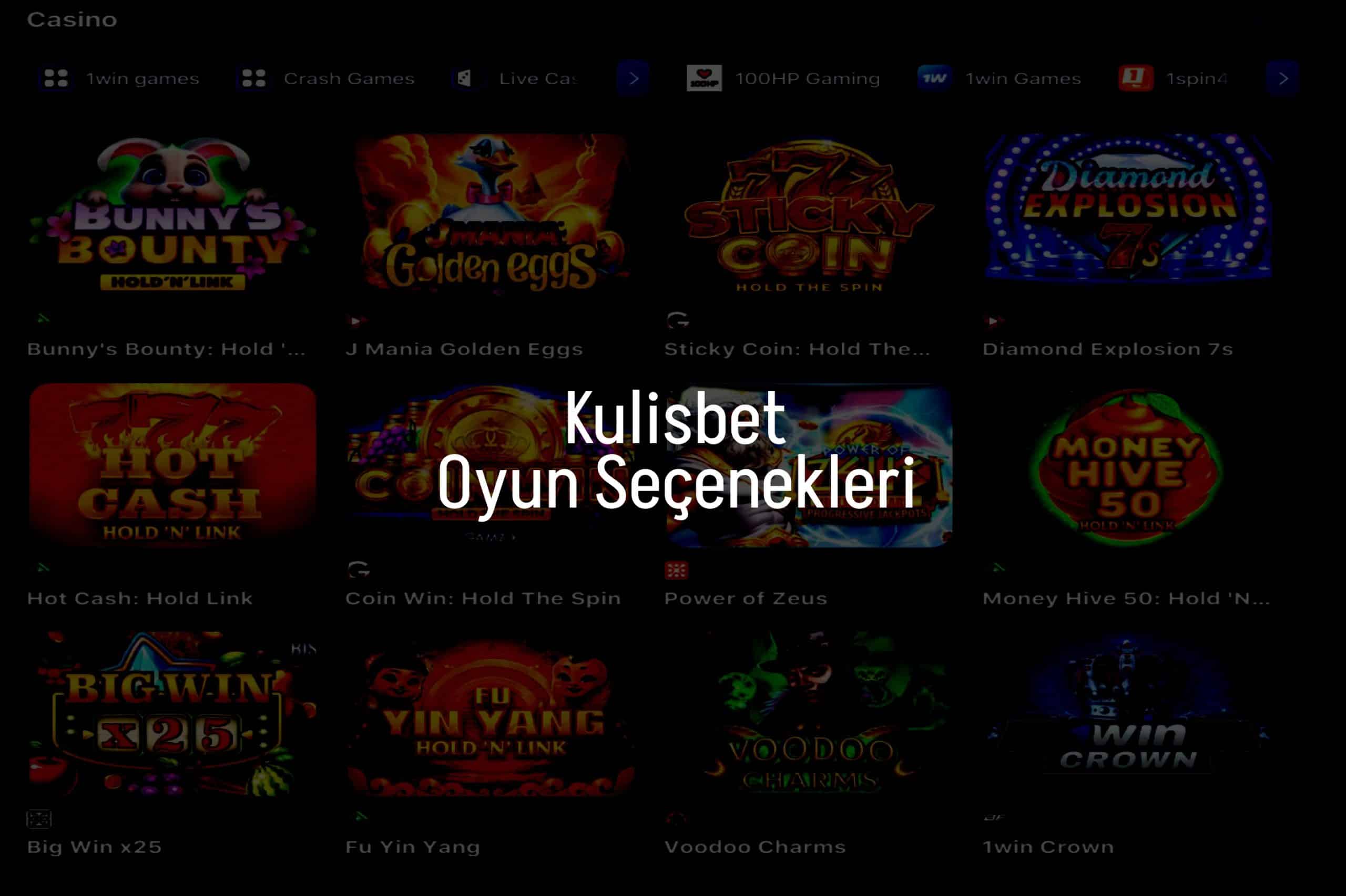 Oyun Seçenekleri