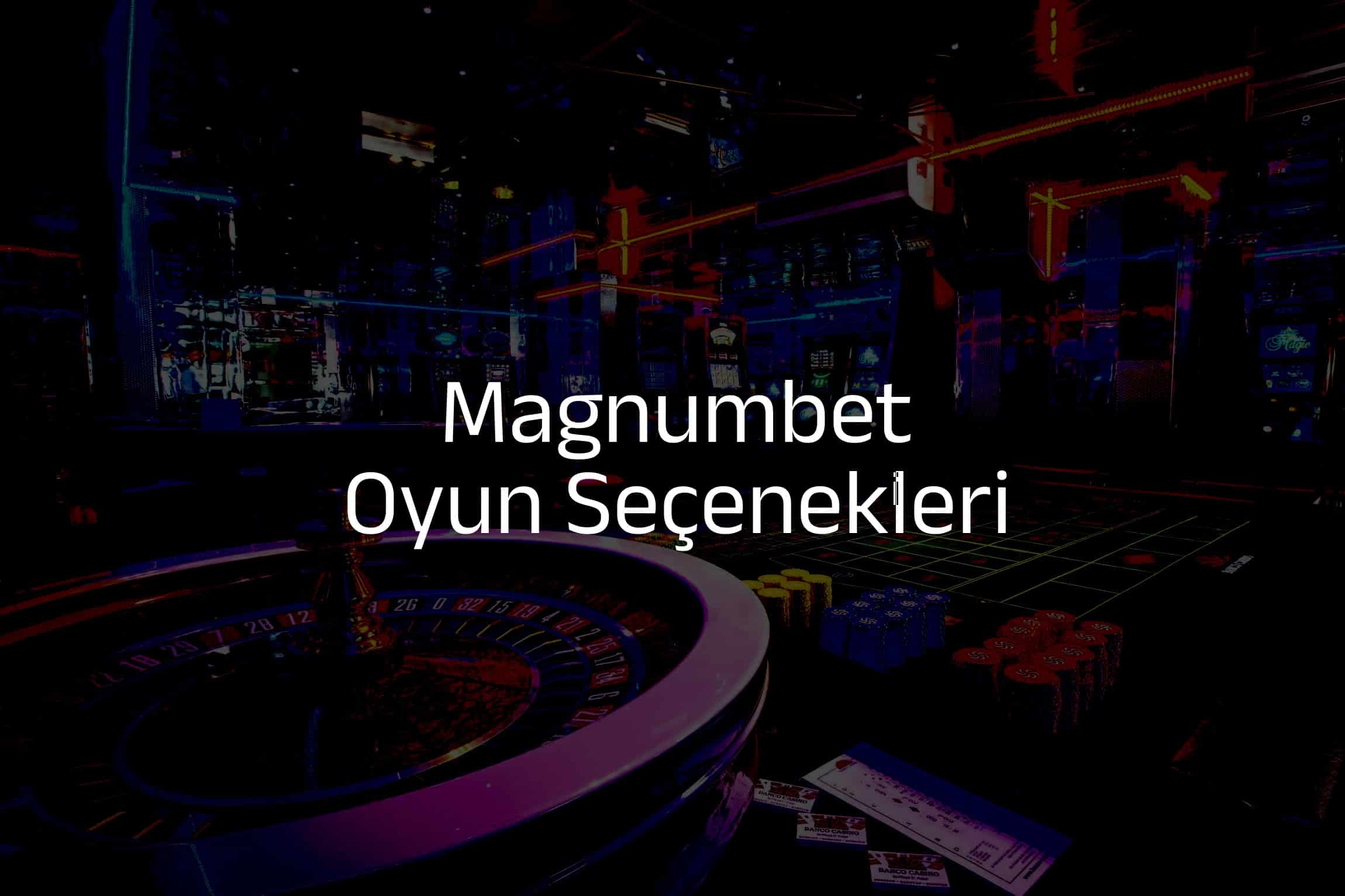 Oyun Seçenekleri