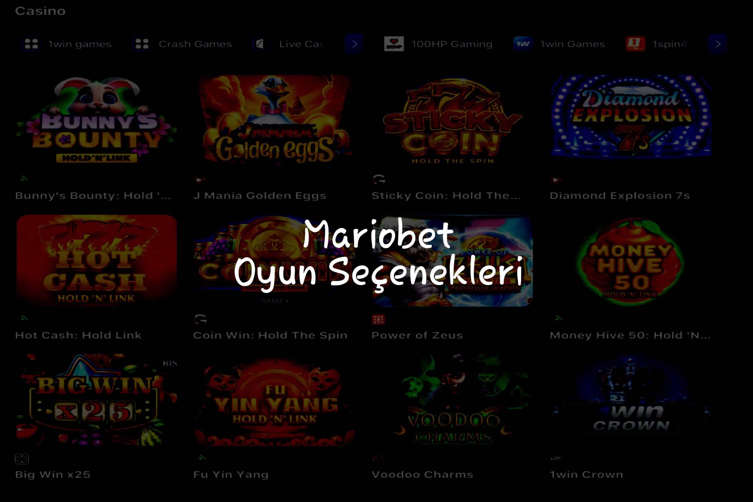 Oyun Seçenekleri