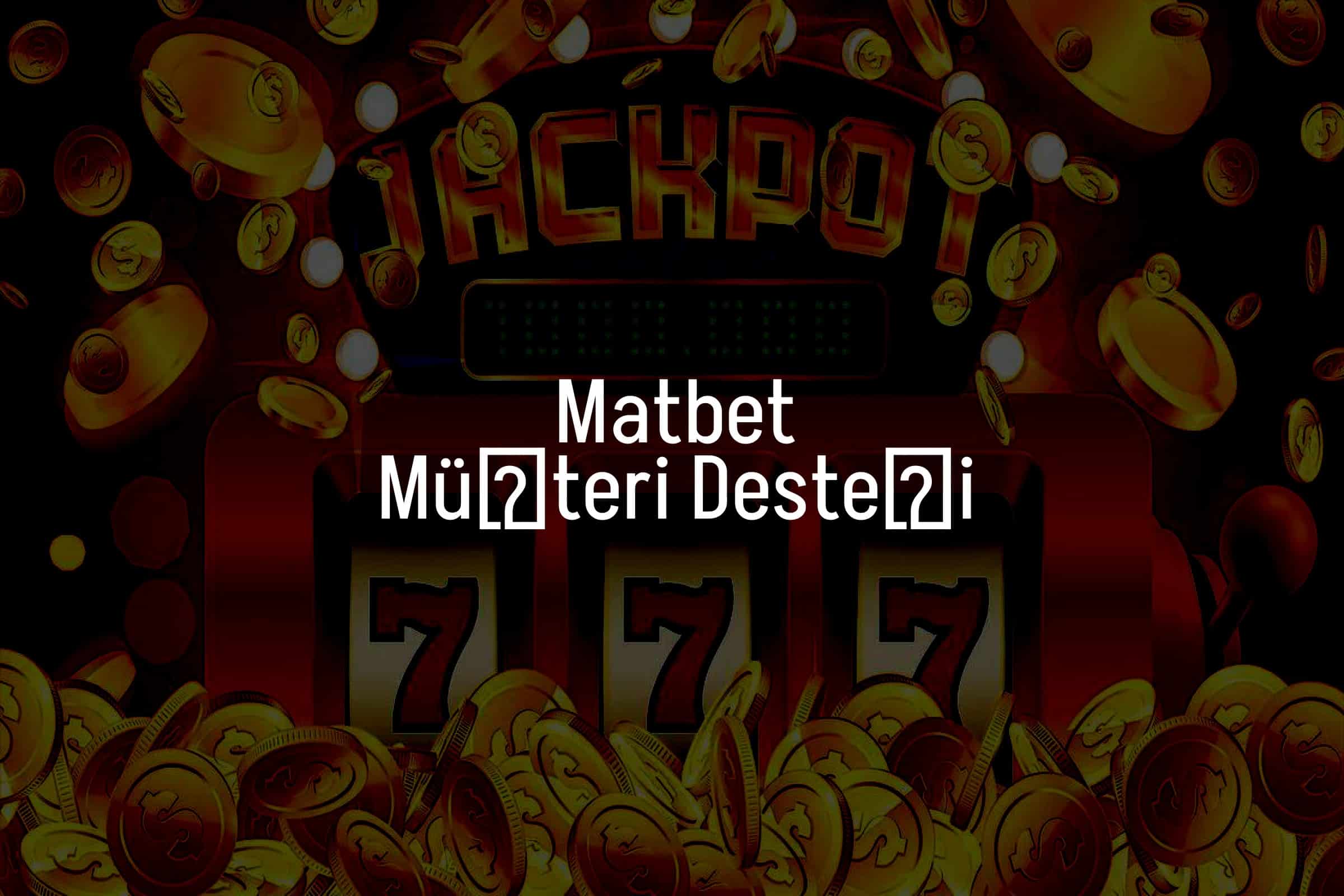 Müşteri Desteği