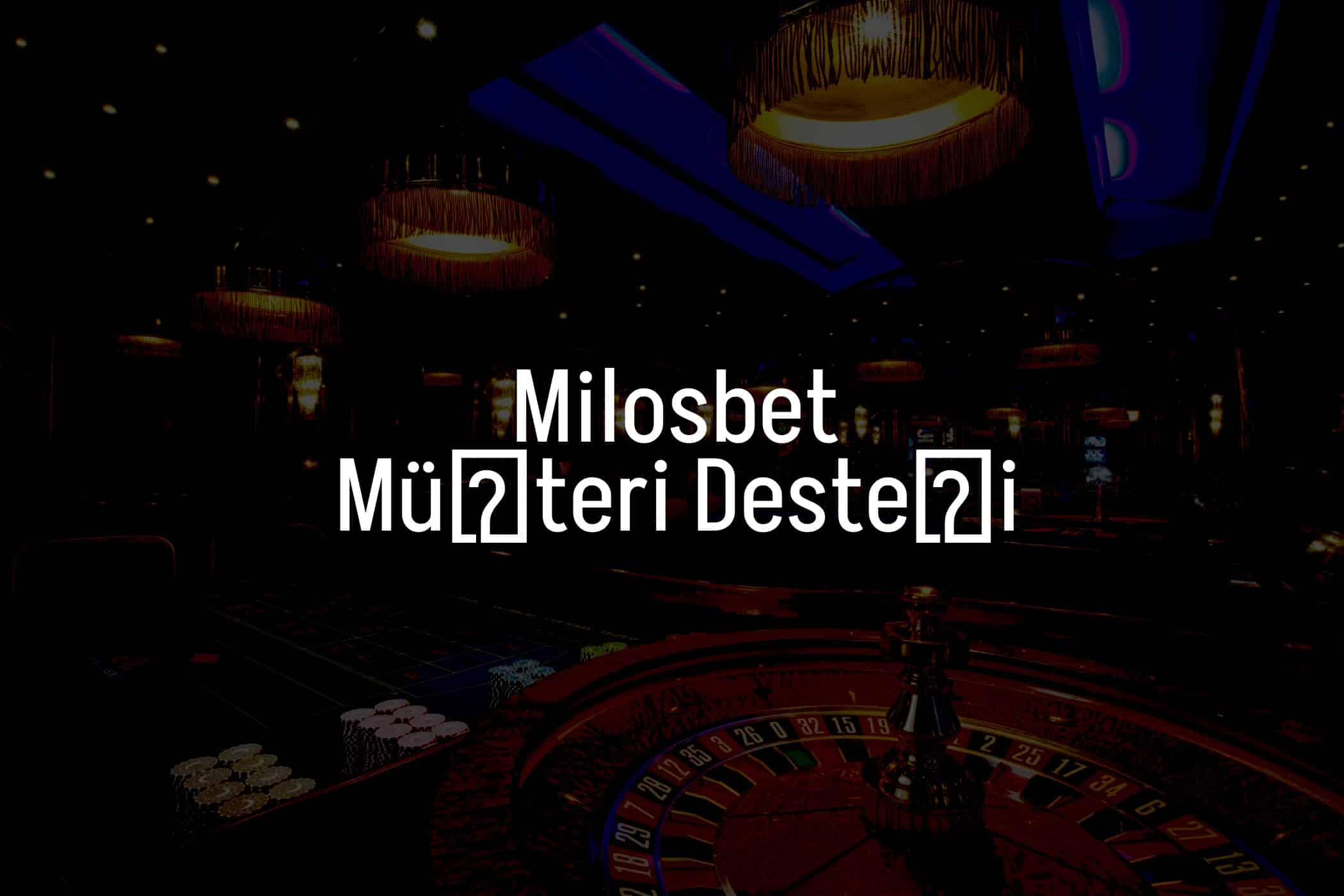 Müşteri Desteği