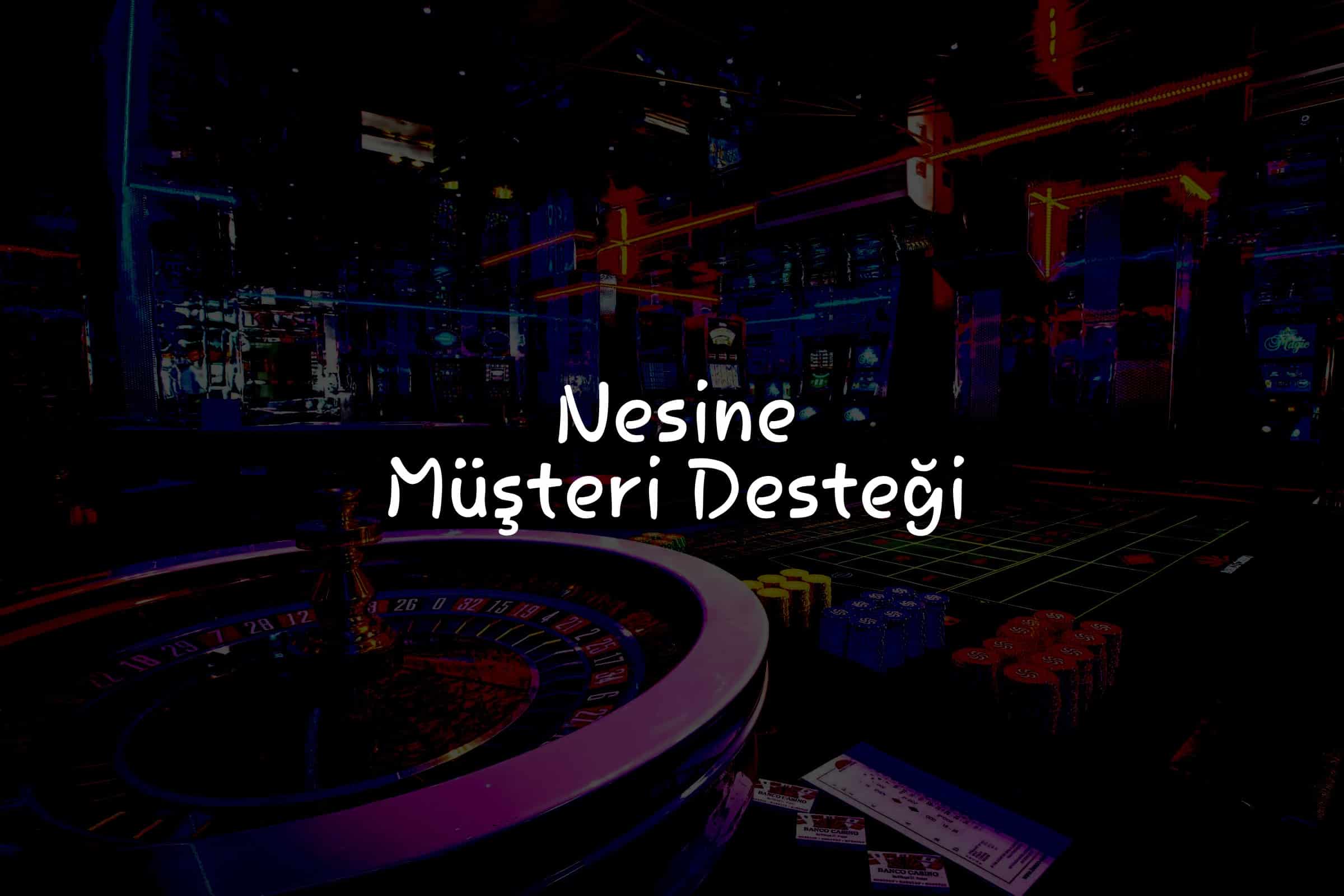 Müşteri Desteği