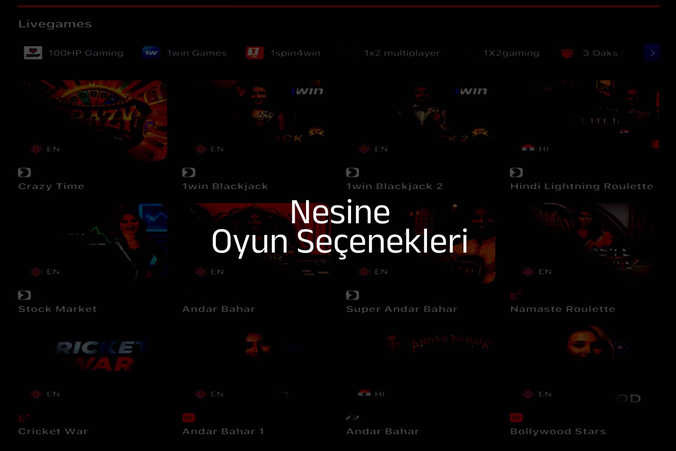Oyun Seçenekleri