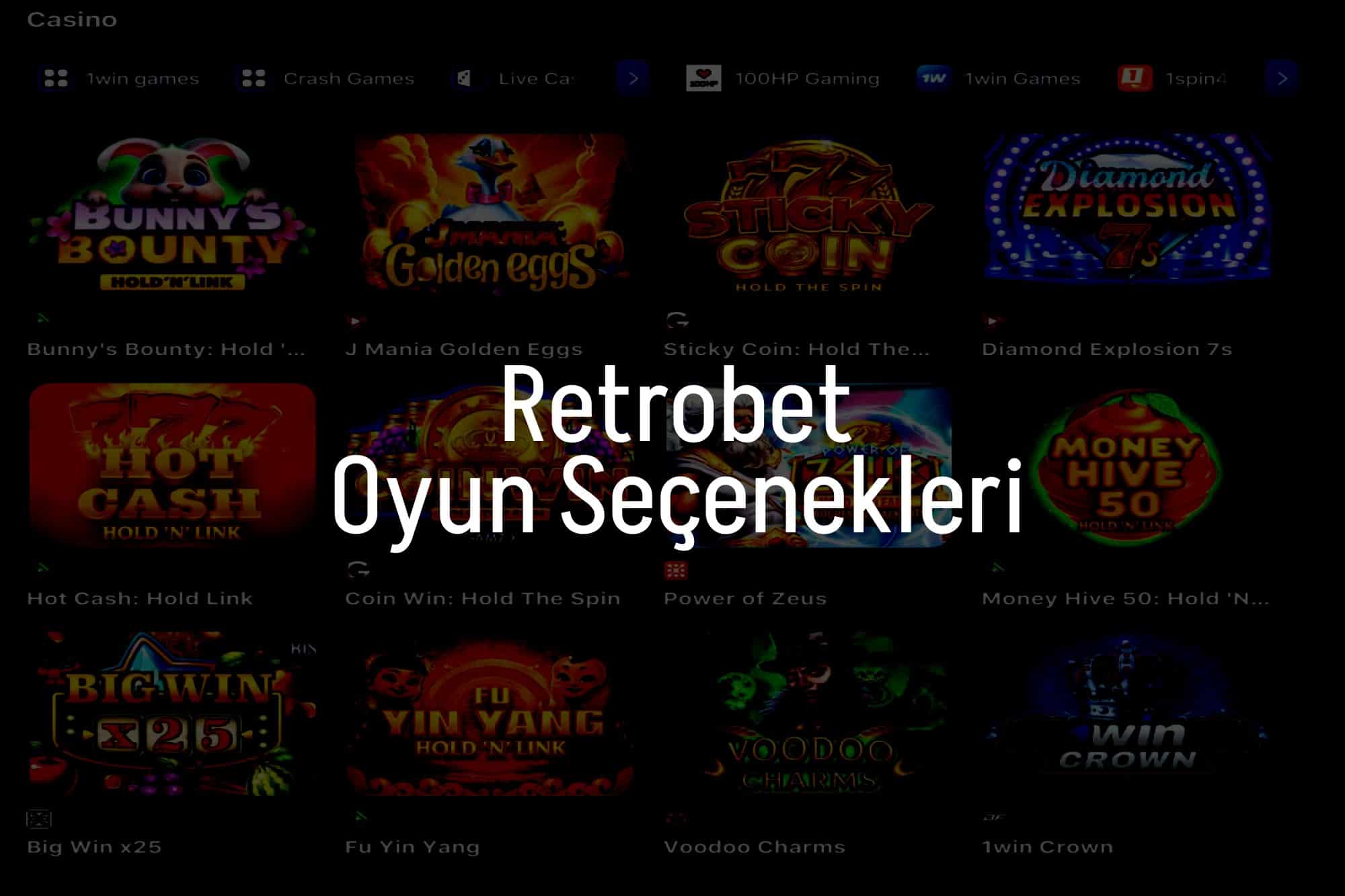 Oyun Seçenekleri