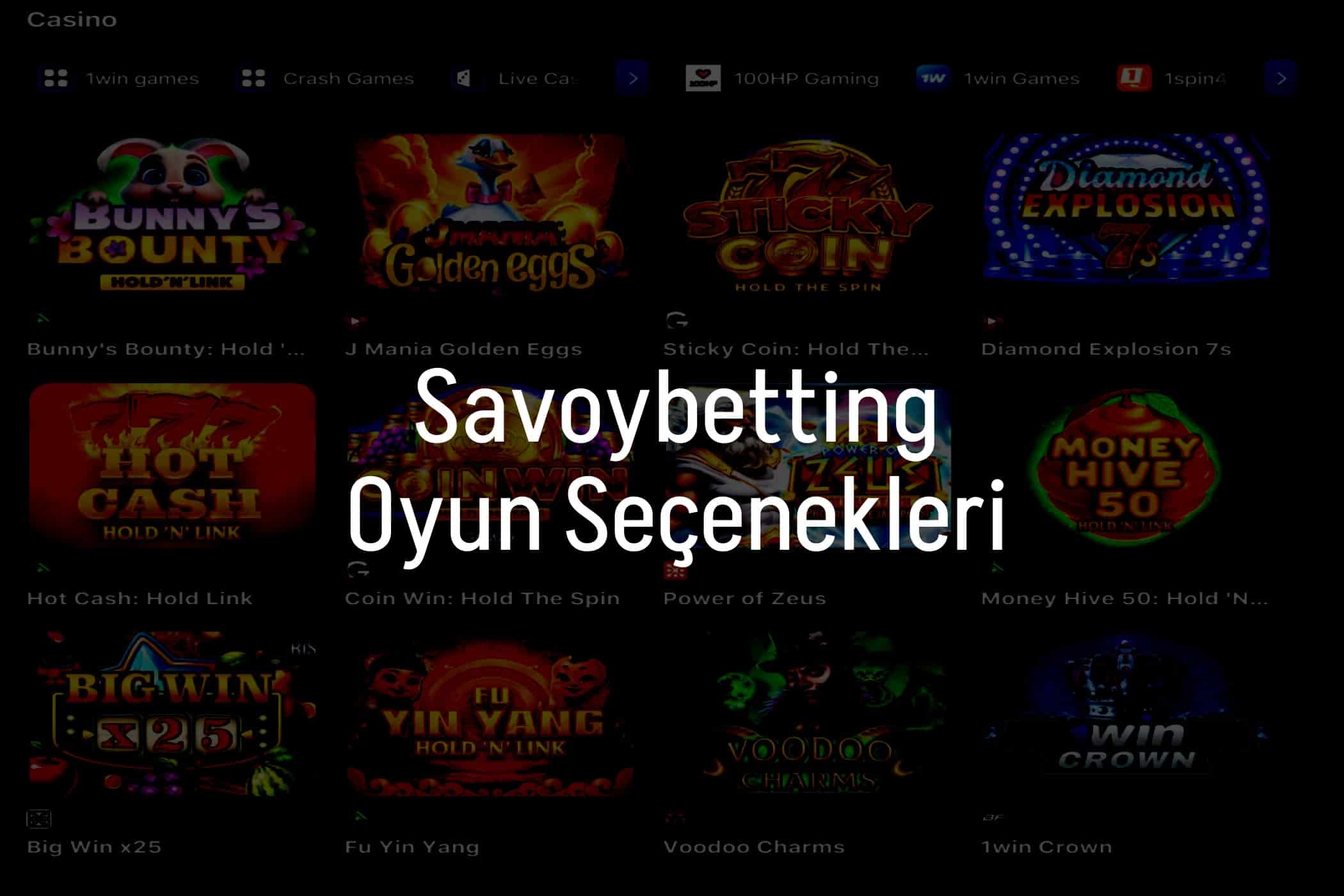 Oyun Seçenekleri