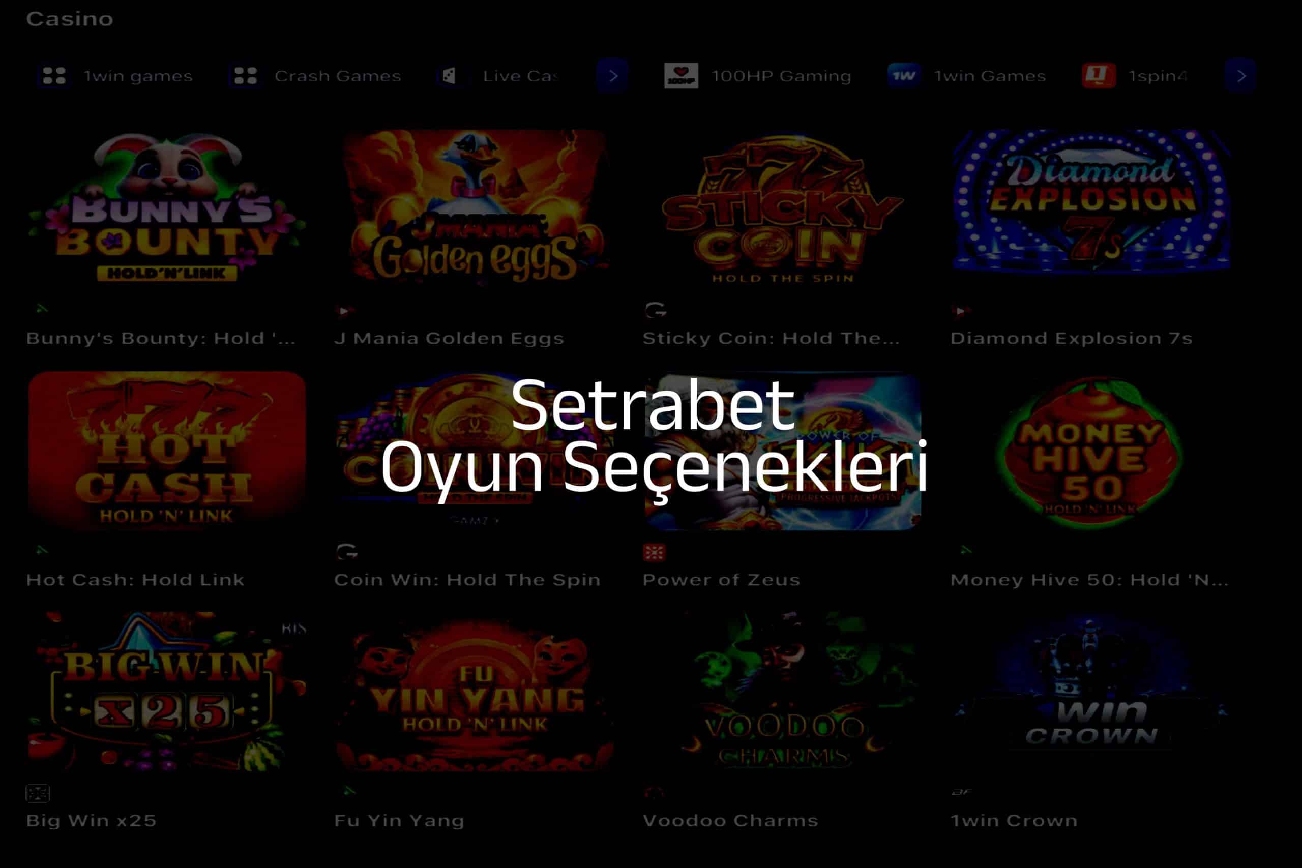 Oyun Seçenekleri
