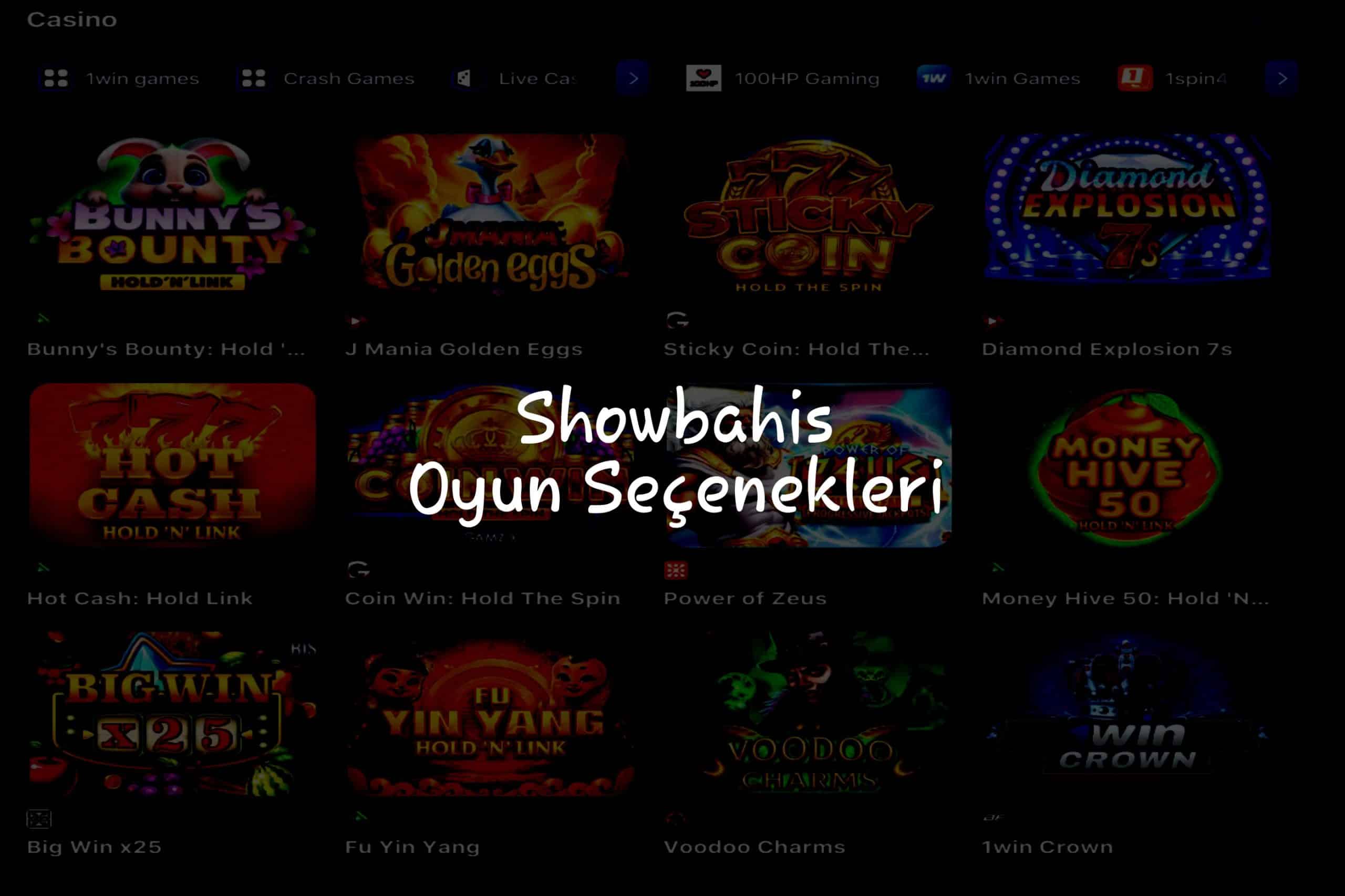 Oyun Seçenekleri