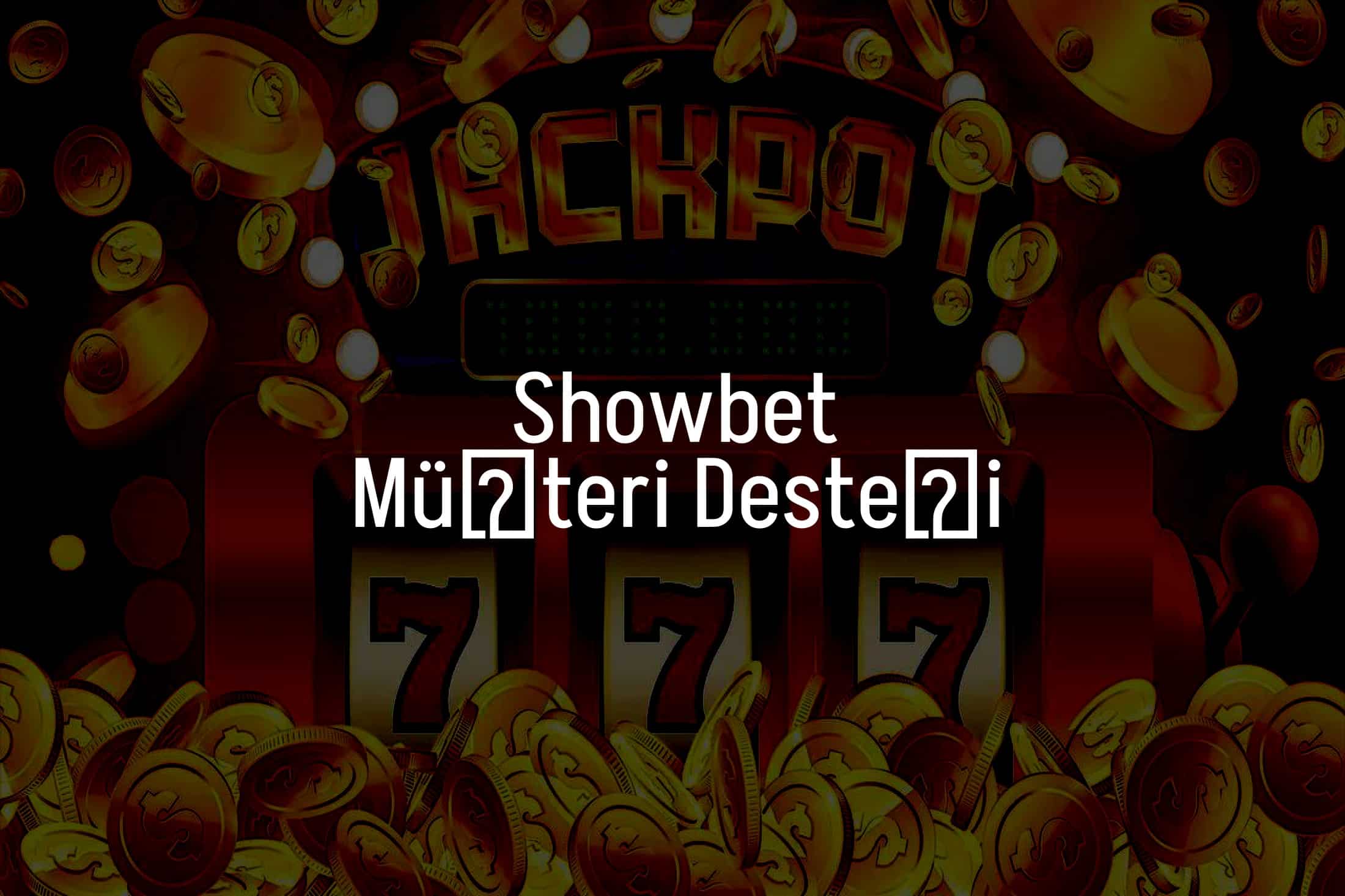 Müşteri Desteği