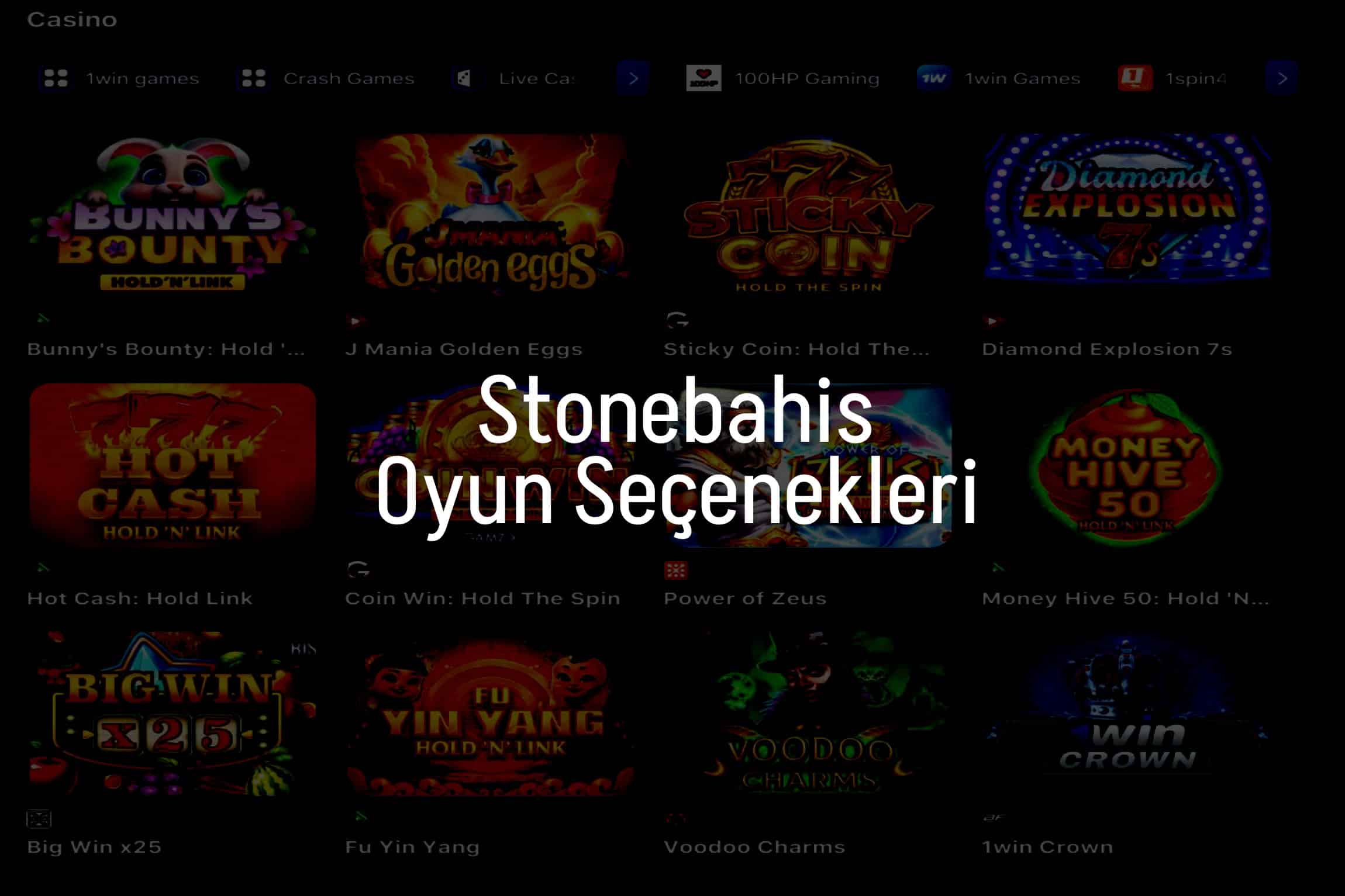 Oyun Seçenekleri