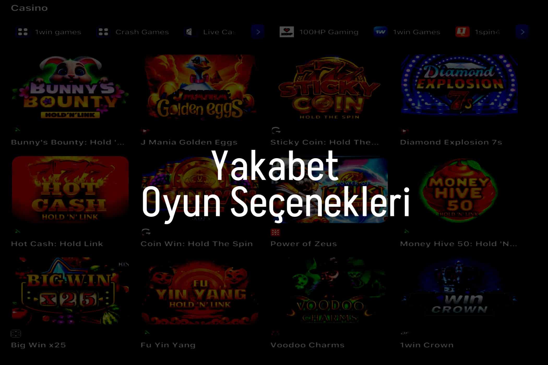 Oyun Seçenekleri